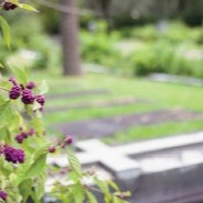 Why burial space may be hard to find